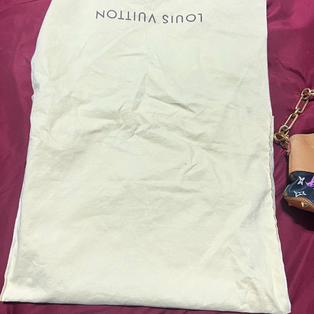 Louis Vuitton multicolor monogram bag